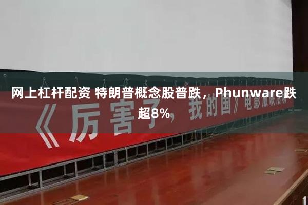 网上杠杆配资 特朗普概念股普跌，Phunware跌超8%