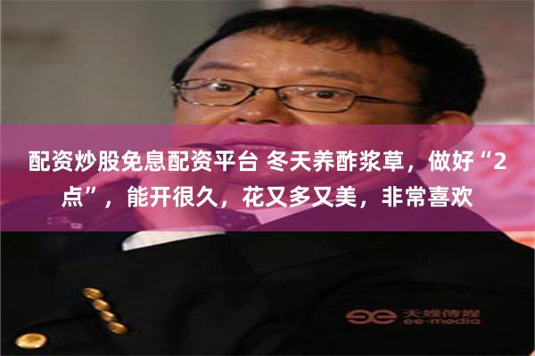 配资炒股免息配资平台 冬天养酢浆草，做好“2点”，能开很久，花又多又美，非常喜欢