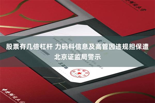 股票有几倍杠杆 力码科信息及高管因违规担保遭北京证监局警示