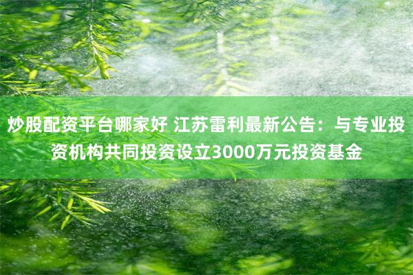 炒股配资平台哪家好 江苏雷利最新公告：与专业投资机构共同投资设立3000万元投资基金