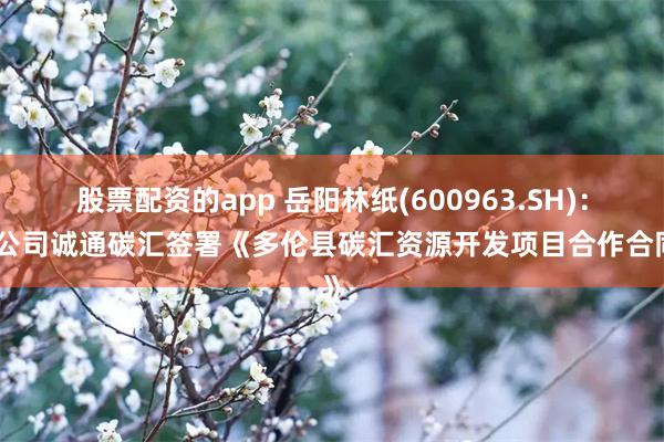 股票配资的app 岳阳林纸(600963.SH)：子公司诚通碳汇签署《多伦县碳汇资源开发项目合作合同