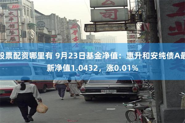 股票配资哪里有 9月23日基金净值：惠升和安纯债A最新净值1.0432，涨0.01%