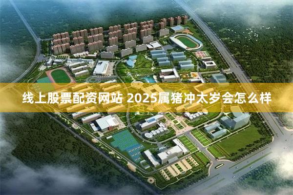 线上股票配资网站 2025属猪冲太岁会怎么样