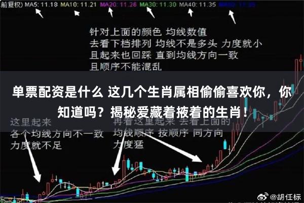 单票配资是什么 这几个生肖属相偷偷喜欢你，你知道吗？揭秘爱藏着掖着的生肖！