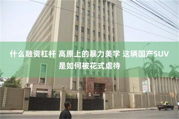 什么融资杠杆 高原上的暴力美学 这辆国产SUV是如何被花式虐待